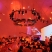 image Contemporary tents, Dome structures, Freedome Dome Marquee, Gallery, Marquee Domes, Modern Event Domes, dubai, freedome-700