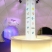 image Carpets, Dome structures, Event Dome, Event Dome Tent, Floor, Furniture, Geodesic Domes, Lighting, Tunnel, freedome-75, tmp, tvn